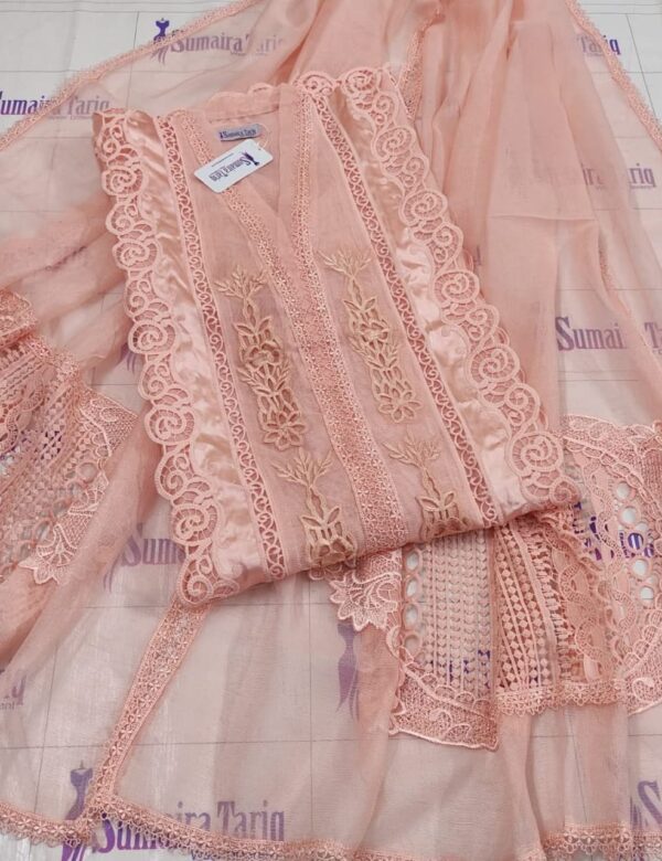 Silk Cut Work Peach Nude (Copy)
